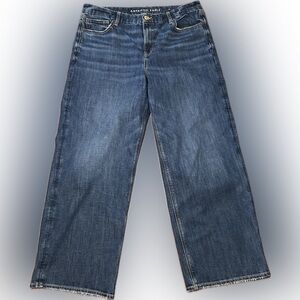 American Eagle Curvy Stovepipe Stretch Dark Wash Blue Wide-Leg Baggy Jeans 16